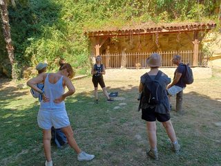 Verdelais au féminin